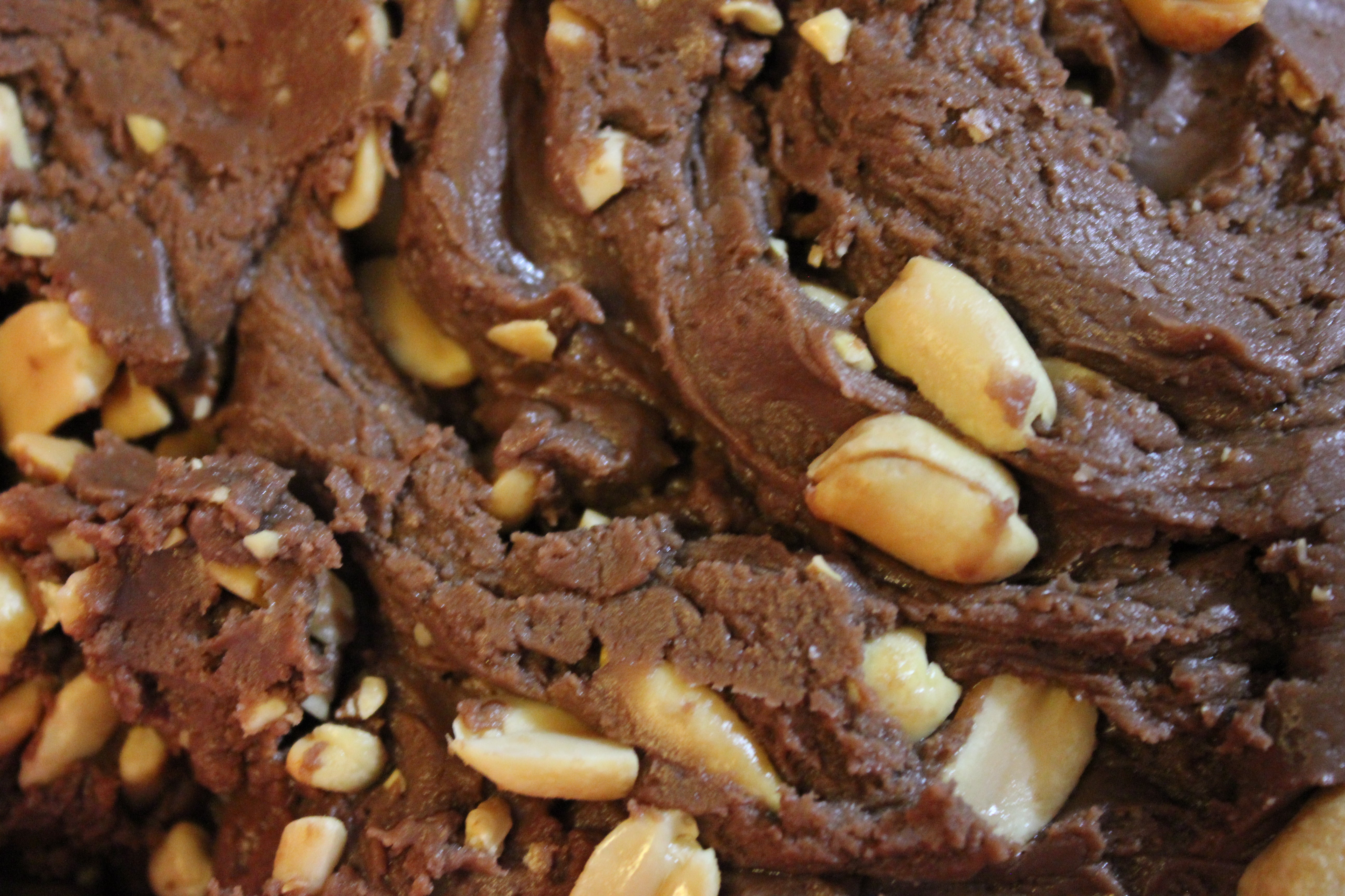 Chocolate Covered Peanuts – ½ lb