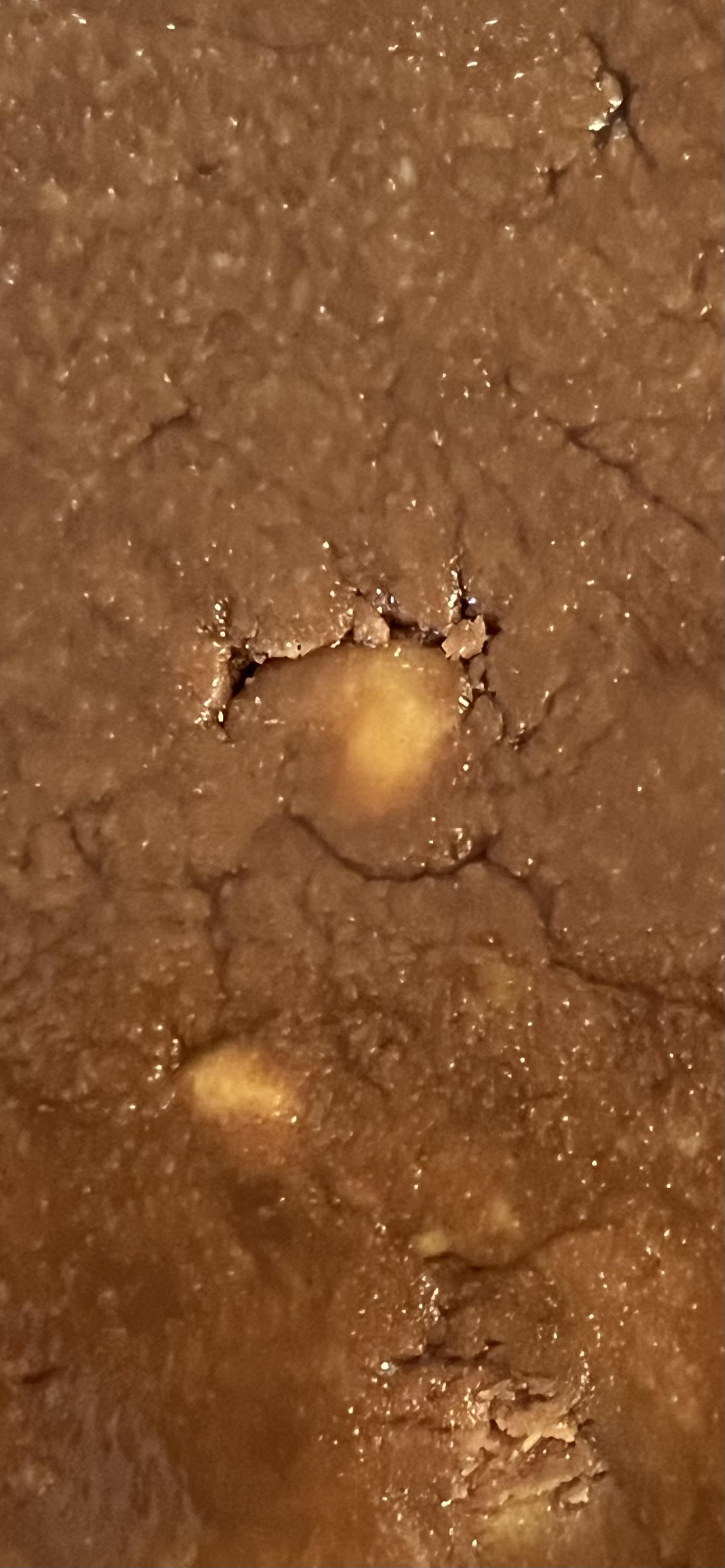 Milk Chocolate Caramel