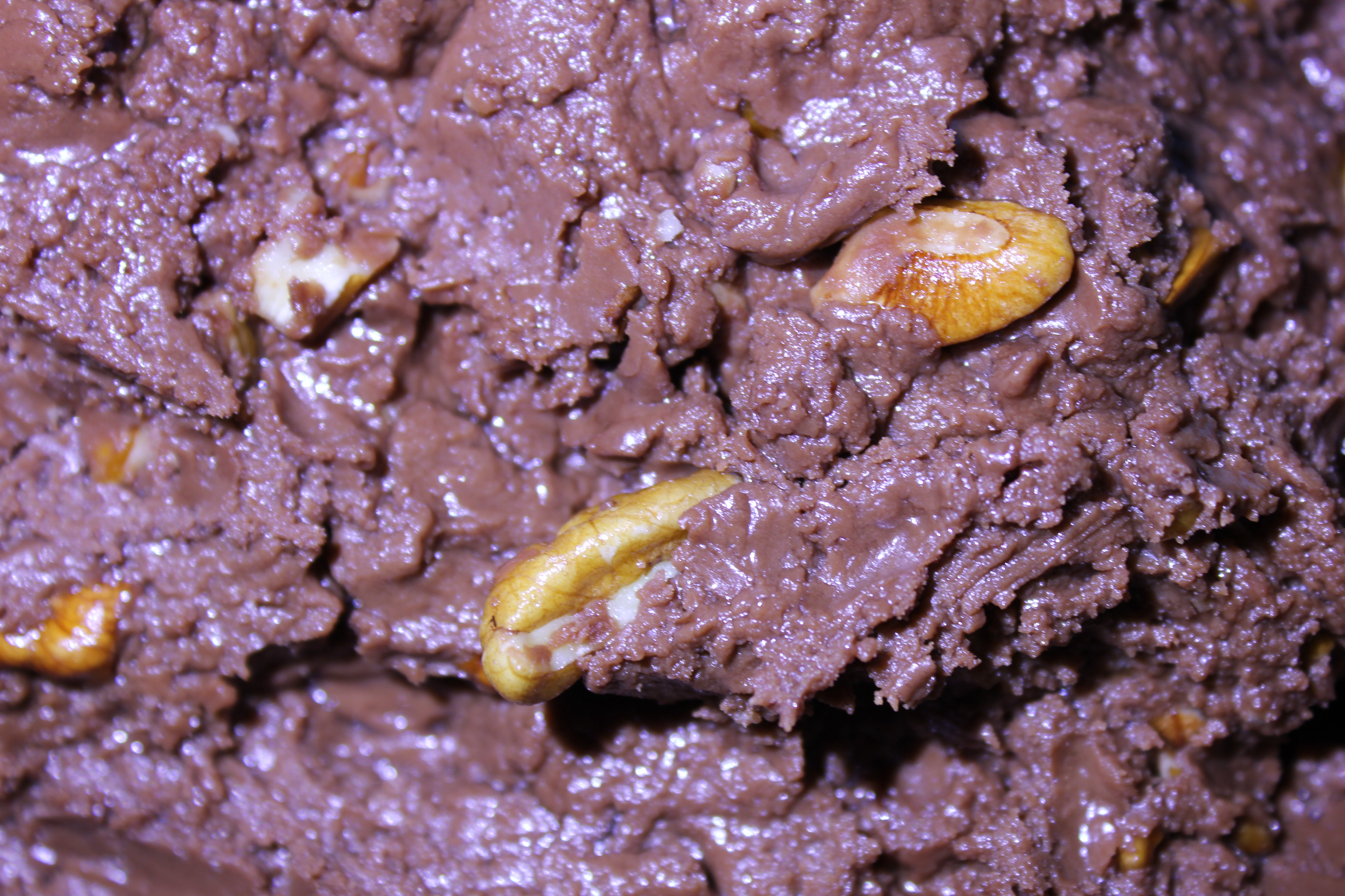 Milk Chocolate Pecan – ½ lb